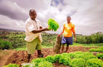 Programa Agroamigo disponibiliza R$ 1,5 milhão para agricultores familiares de Paudalho