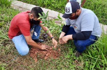 Paudalho avança no plantio de árvores nativas da Mata Atlântica